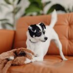 How To Choose The Right Hosting For Your Blog